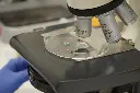 plastikmuell-entfernung~9.webp